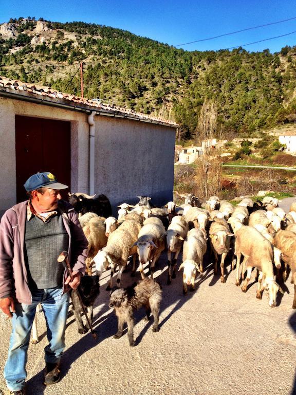 Casas Rurales Vegasierra Bogarra Eksteriør bilde